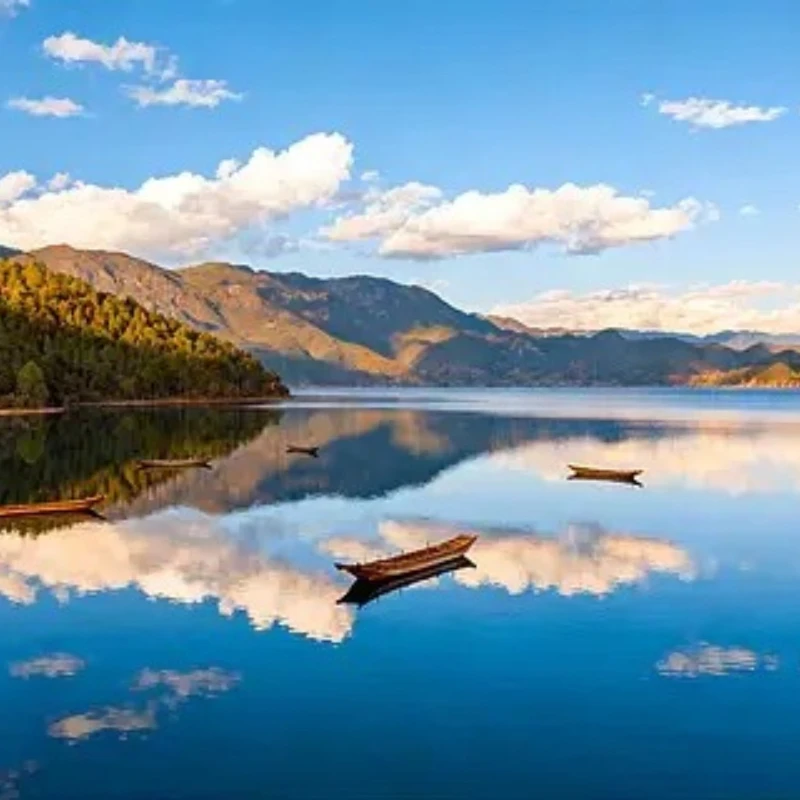 JX Servo PDI-5521MG 4.8-6V 20KG High Precision Metal Gear Digital Standard Servo 180 Degree for RC Car Helicopter Boat Airplane
JX Servo PDI-5521MG 4.8-6V 20KG High Precision Metal Gear Digital Standard Servo 180 Degree for RC Car Helicopter Boat Airplane