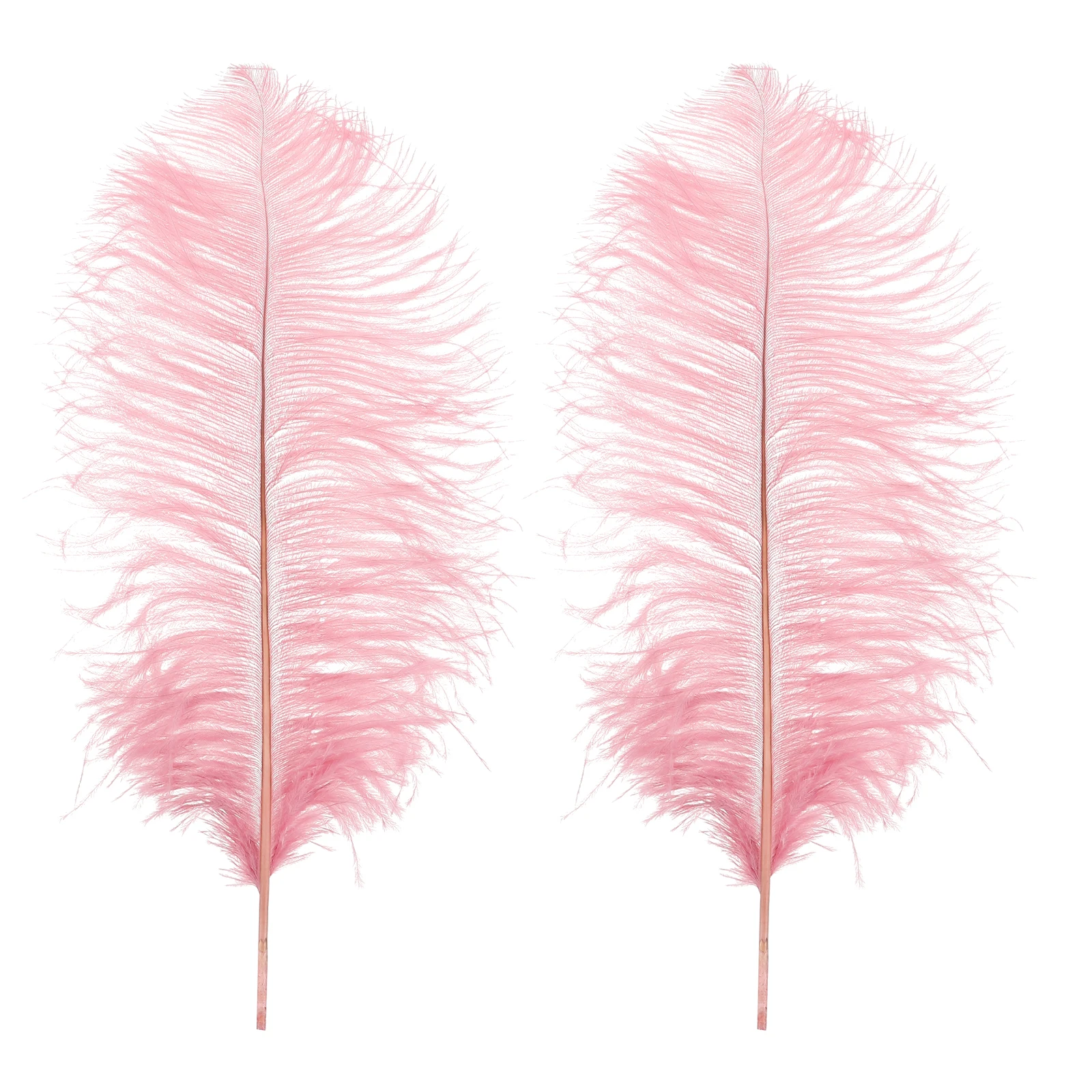 2 Pcs Decor Decoration Durable Color Safe Lightweight Wedding Decor Wall Home Party Romantic Prop
2 Pcs Decor Decoration Durable Color Safe Lightweight Wedding Decor Wall Home Party Romantic Prop