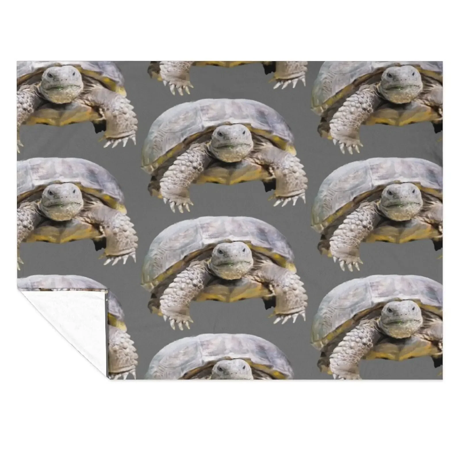 Gopher Tortoise Tortoise Florida Turtle Throw Blanket Plaid on the sofa Sofa Quilt Furrys for babies Blankets
Gopher Tortoise Tortoise Florida Turtle Throw Blanket Plaid on the sofa Sofa Quilt Furrys for babies Blankets