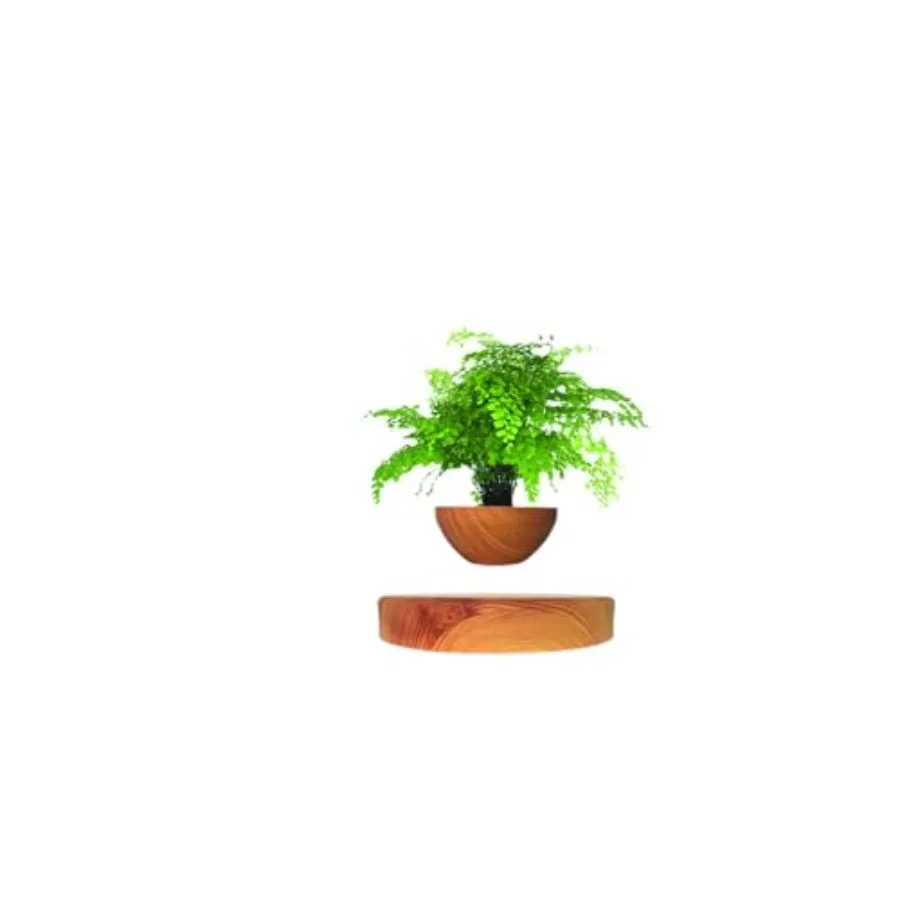 Planting Flower potsLevitating Plant Pot Magnetic levitation Floating Plant Pot Floating Plant Hanging Flower pots Suspendded F
Planting Flower potsLevitating Plant Pot Magnetic levitation Floating Plant Pot Floating Plant Hanging Flower pots Suspendded F