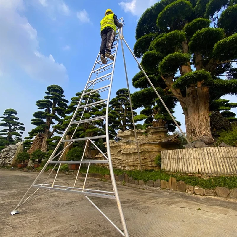 Fruit tree villa gardening operation unilateral herringbone picking safe pruning lifting triangular support
Fruit tree villa gardening operation unilateral herringbone picking safe pruning lifting triangular support