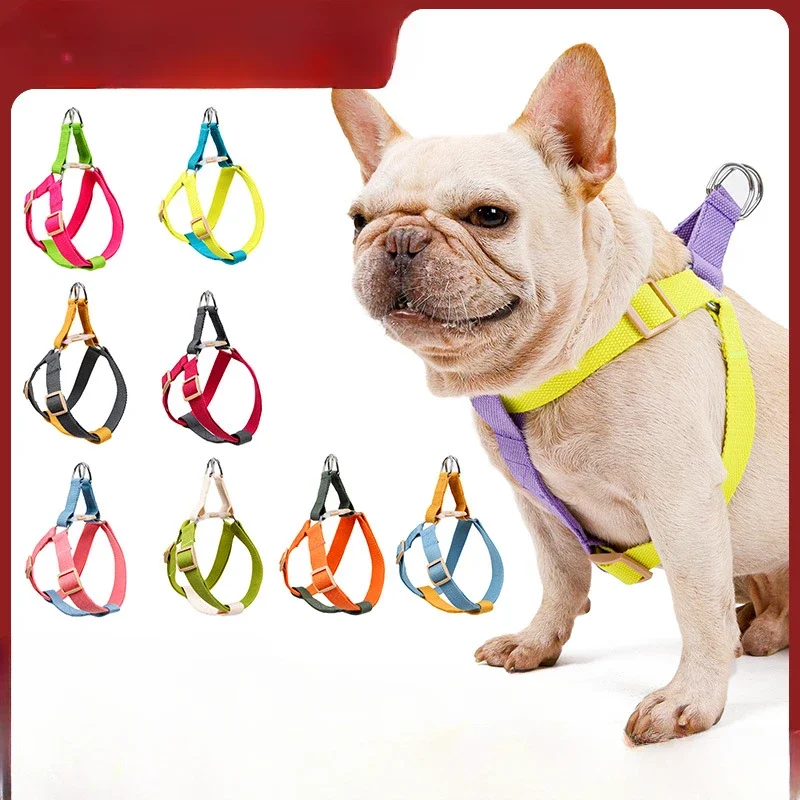 Rainbow Color Matching Pet Chest Strap Suit Vest-type Anti-free Dog Chest Strap Leash Dog Chest Strap
Rainbow Color Matching Pet Chest Strap Suit Vest-type Anti-free Dog Chest Strap Leash Dog Chest Strap