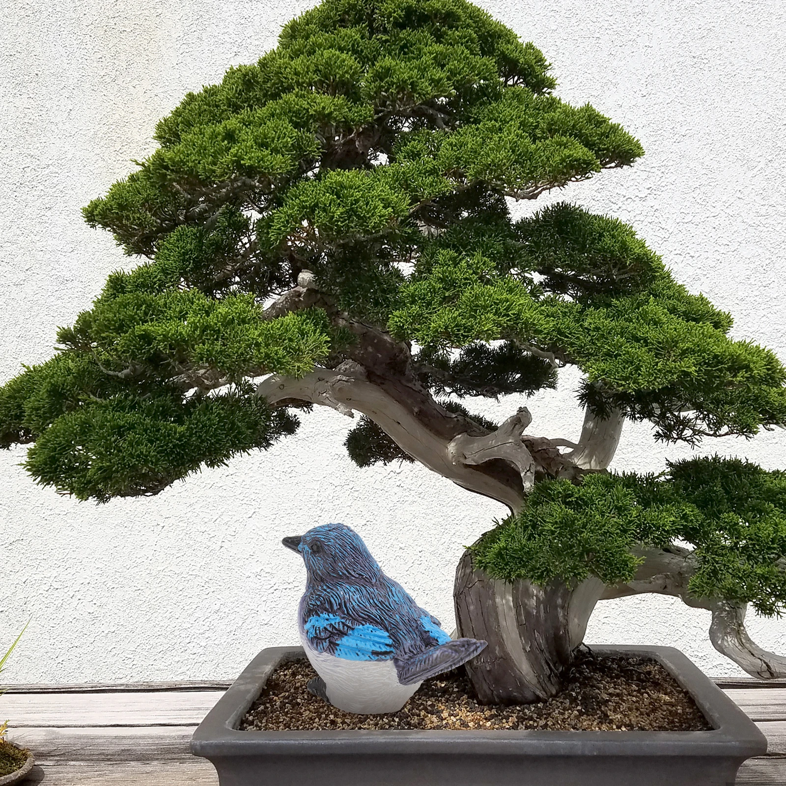 6 Pcs ResinBirds CuteAnimal Model for Garden Room Bedroom Car Office Mini Landscape Adornment DIY Bonsai Ornament
6 Pcs ResinBirds CuteAnimal Model for Garden Room Bedroom Car Office Mini Landscape Adornment DIY Bonsai Ornament