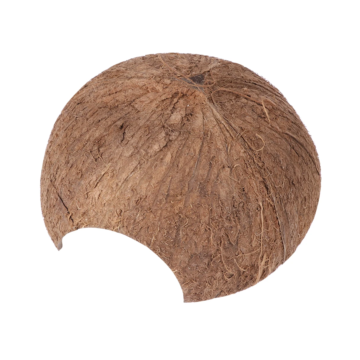 Coconut Hideout House Reptile Supplies Bed Cave Shells Shelter Fish Tank Cozy Environment Crab Spiders Lizards Handmade 
Coconut Hideout House Reptile Supplies Bed Cave Shells Shelter Fish Tank Cozy Environment Crab Spiders Lizards Handmade