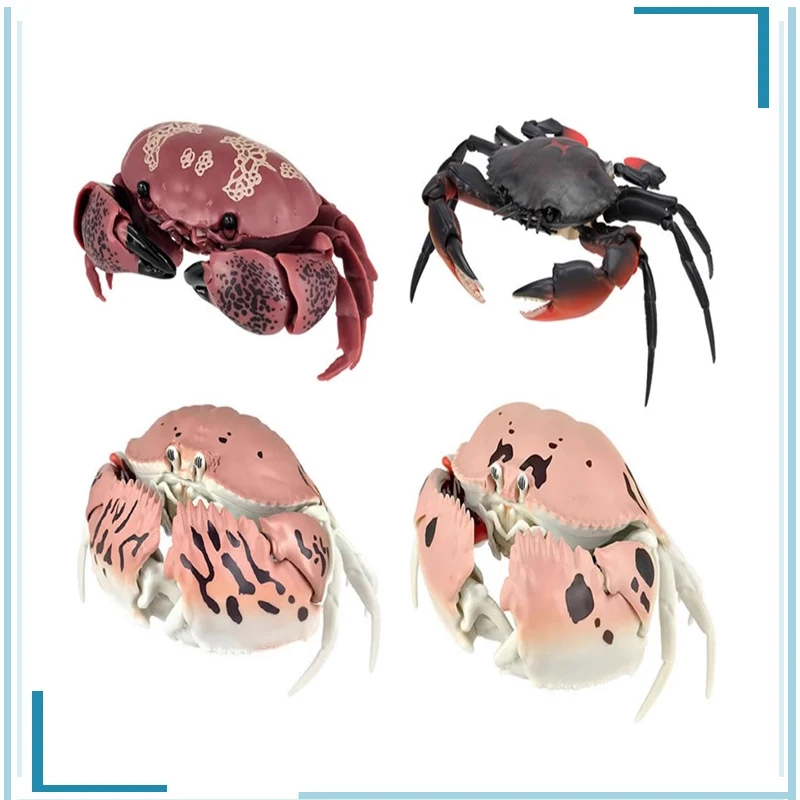 BANDAI Simulation Movable Brachyura Mantou Crab Assembly Collect Ornaments Active Joint Brinquedos Action Figure Assembly Model
BANDAI Simulation Movable Brachyura Mantou Crab Assembly Collect Ornaments Active Joint Brinquedos Action Figure Assembly Model