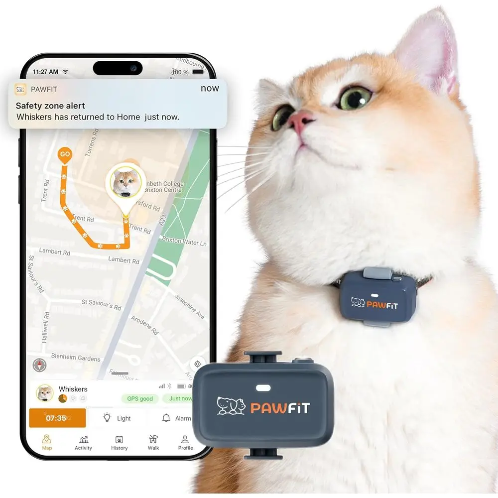 Ultra-Lightweight 4G GPS Tracker for Cats - Under 18g, Real-Time Tracking, Activity Monitor, Location History, Safety Collar, Ch
Ultra-Lightweight 4G GPS Tracker for Cats - Under 18g, Real-Time Tracking, Activity Monitor, Location History, Safety Collar, Ch