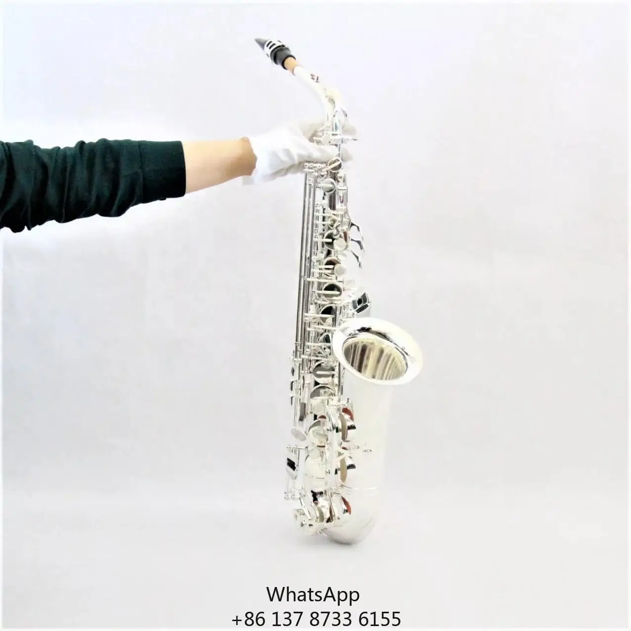 Wholesale Price Focustyle Brand New Design Woodwind Instrument Silver Plated Alto Saxophone With Case
Wholesale Price Focustyle Brand New Design Woodwind Instrument Silver Plated Alto Saxophone With Case