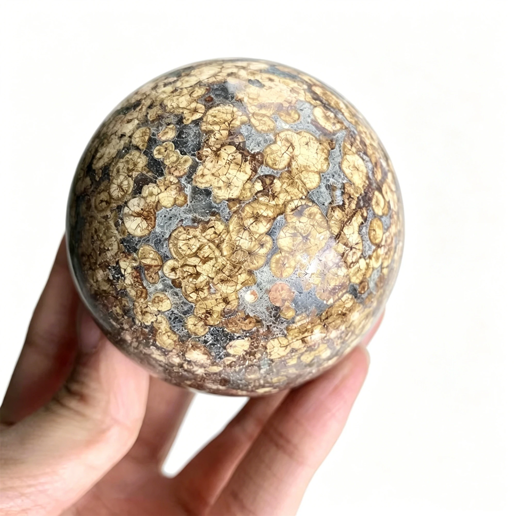 Natural Dandelion Agate Sphere, Polished Crystal Ball, Healing Energy Mineral Stone Home Meditation Decor Ornament Gift
Natural Dandelion Agate Sphere, Polished Crystal Ball, Healing Energy Mineral Stone Home Meditation Decor Ornament Gift