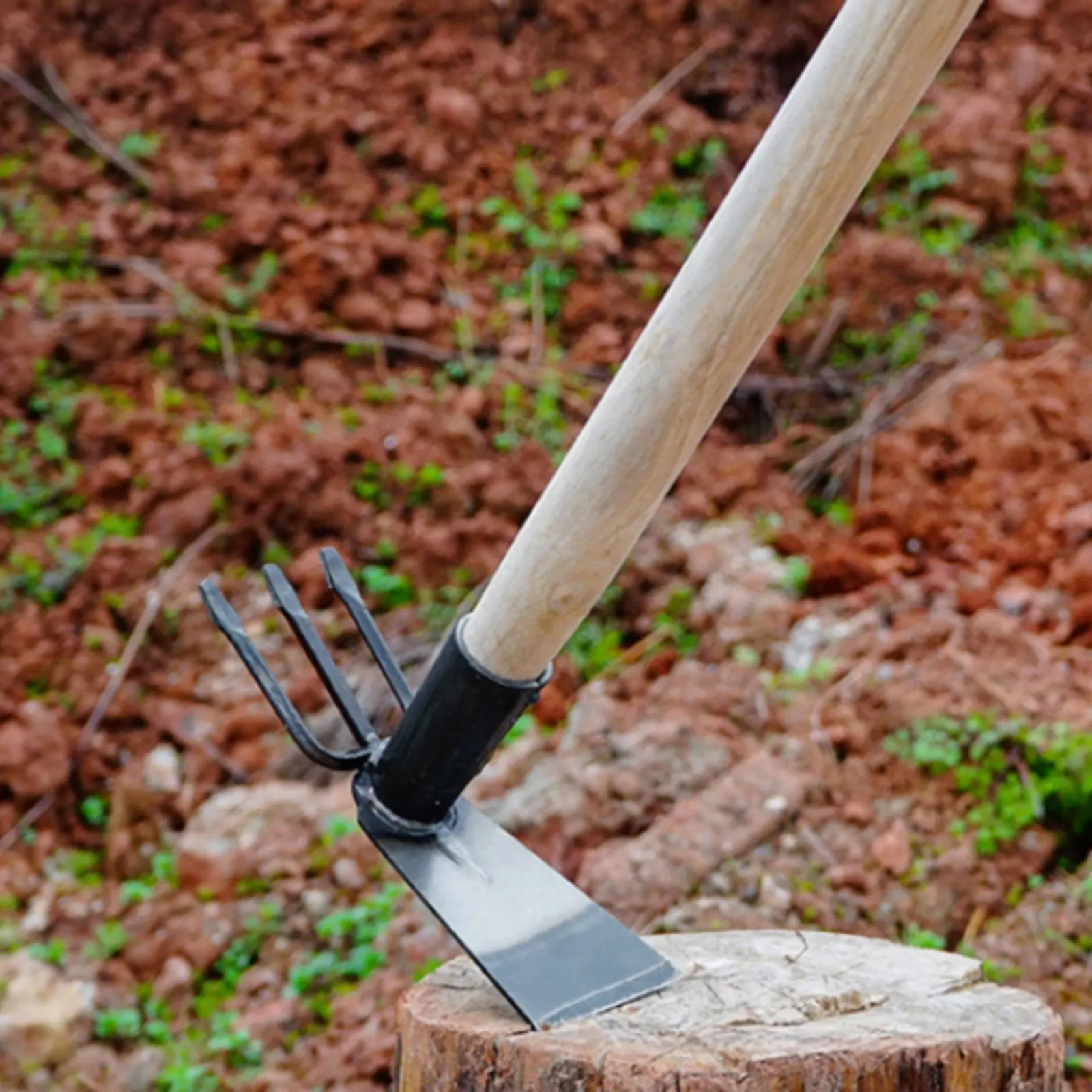 4 Pieces Small Garden Hoe Multi-Purpose Hand Hoe Heavy Duty Long-Lasting Blade for Farmers, Outdoor, Vegetable Plot
4 Pieces Small Garden Hoe Multi-Purpose Hand Hoe Heavy Duty Long-Lasting Blade for Farmers, Outdoor, Vegetable Plot