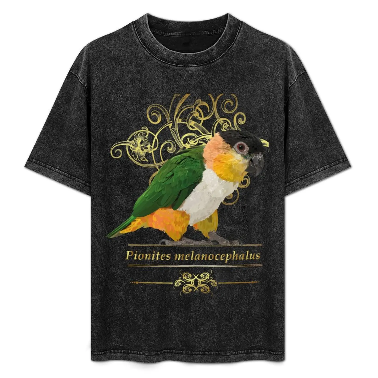 black headed caique T-Shirt summer clothes cotton graphic tees custom t-shirts luxury designer men graphic t shirts
black headed caique T-Shirt summer clothes cotton graphic tees custom t-shirts luxury designer men graphic t shirts
