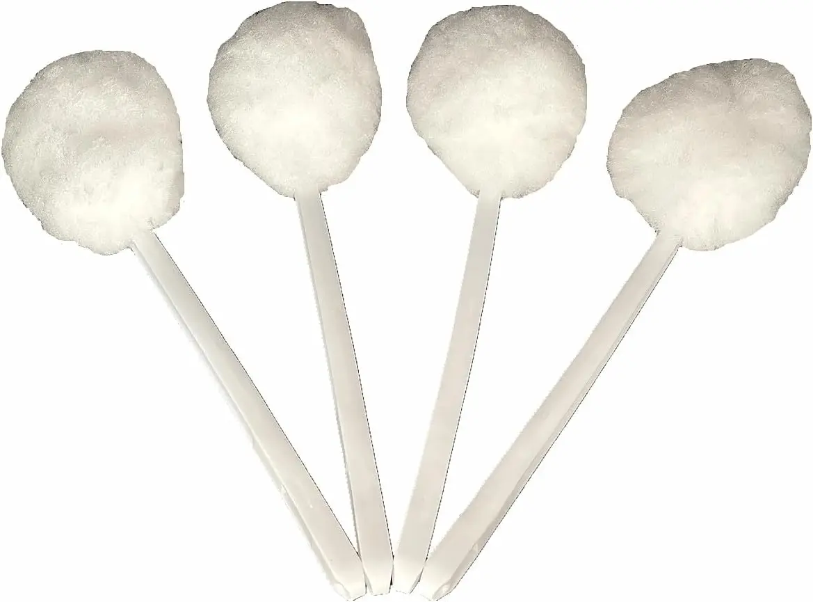 4 Pack Soft Toilet Bowl Brush Set, 15x5 inch Polyester Head, White
4 Pack Soft Toilet Bowl Brush Set, 15x5 inch Polyester Head, White