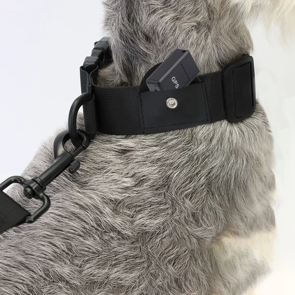 Adjustable Dog Collar Pet Anti Lost Locating Collar D Ring Design Protect Outdoor Supplies Pet Accessories
Adjustable Dog Collar Pet Anti Lost Locating Collar D Ring Design Protect Outdoor Supplies Pet Accessories