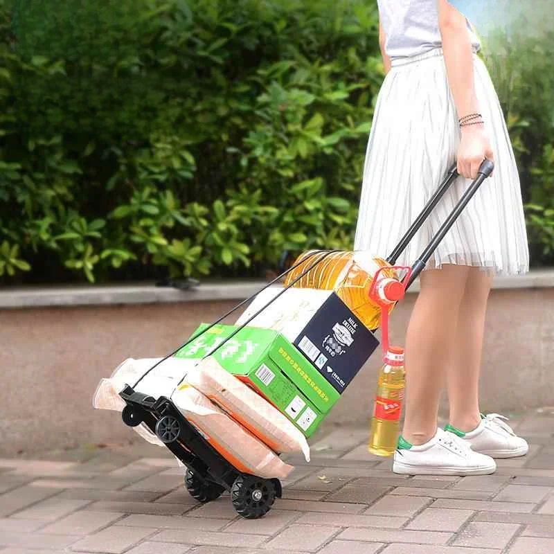 Portable Foldable Two-Wheel Luggage Cart Home Use Shopping Trolley Compact Travel Trailer Carry-On Wheelbarrow
Portable Foldable Two-Wheel Luggage Cart Home Use Shopping Trolley Compact Travel Trailer Carry-On Wheelbarrow