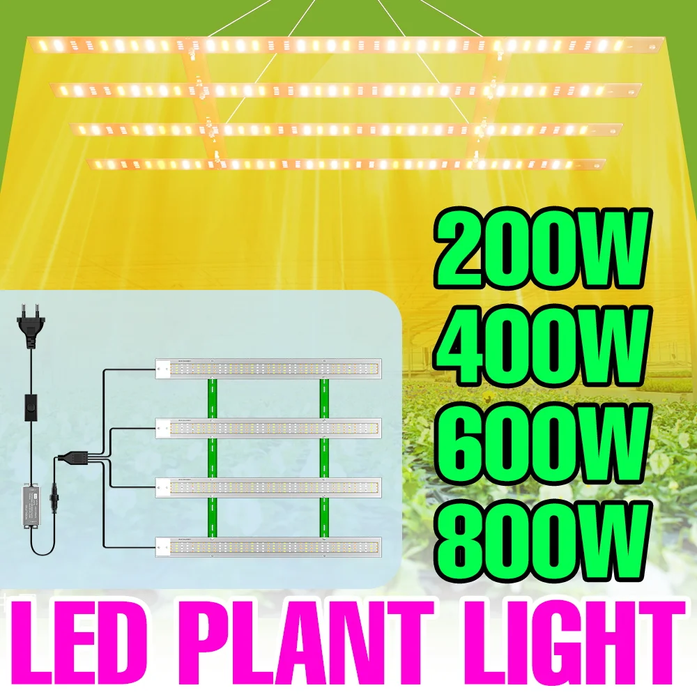 Светодиодная лампа для растений 800 Вт, полный спектр, 100-277 В, для теплиц, гроубоксов, гидропоники, суккулентов, рассады, освещение для выращивания
Светодиодная лампа для растений 800 Вт, полный спектр, 100-277 В, для теплиц, гроубоксов, гидропоники, суккулентов, рассады, освещение для выращивания