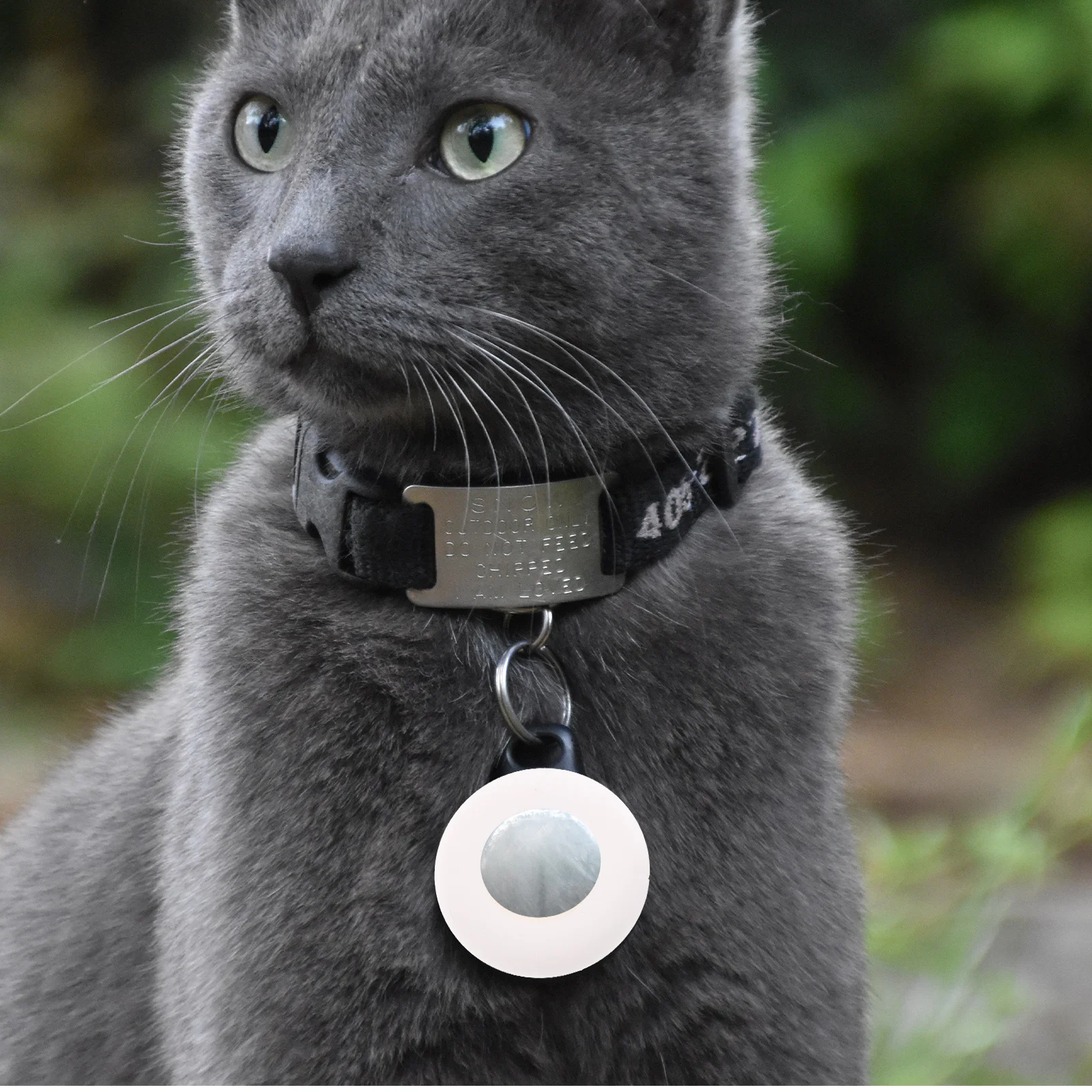 2 Pcs Case Dog Tag Cover Tracer Protective Cases Pet Collar Tracker Holder Air Anti-lost
2 Pcs Case Dog Tag Cover Tracer Protective Cases Pet Collar Tracker Holder Air Anti-lost