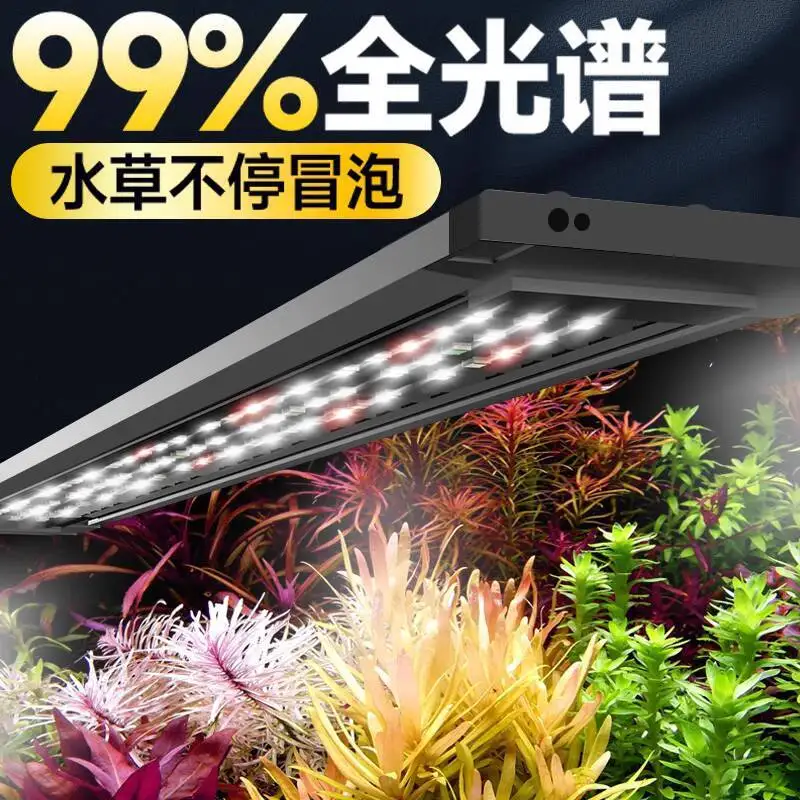 Aluminum alloy fish tank LED water grass light waterproof lighting grass tank light diving enhancement special rack light
Aluminum alloy fish tank LED water grass light waterproof lighting grass tank light diving enhancement special rack light