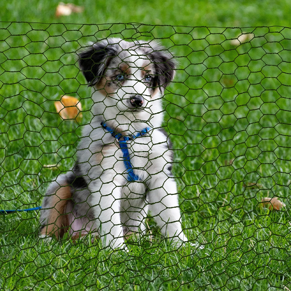 Kiss Weaving Net Hexagonal Chicken Wire Mesh Fence Artificial Netting Galvanized Poultry Pens Garden
Kiss Weaving Net Hexagonal Chicken Wire Mesh Fence Artificial Netting Galvanized Poultry Pens Garden