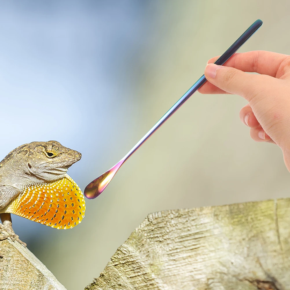 3pcs Reptile Spoon Lizard Food Scoop Small Animal Tools Pet Handle Durable Small Scoop Insect Tank Accessories
3pcs Reptile Spoon Lizard Food Scoop Small Animal Tools Pet Handle Durable Small Scoop Insect Tank Accessories