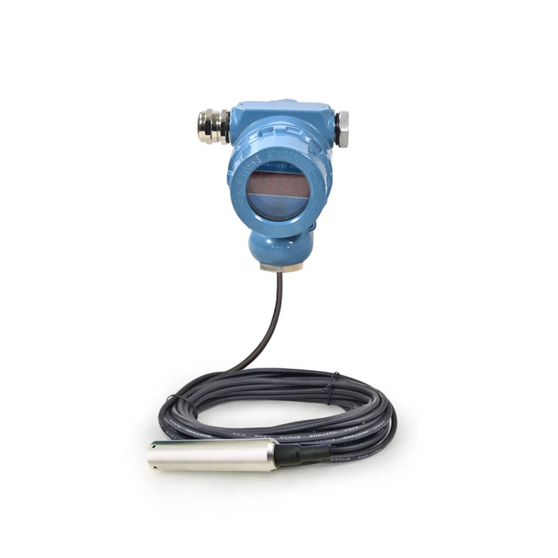 Submersible Water Tank Level Liquid Meter Level Depth Gauge Digital Indicator Detector Sensor Probe
Submersible Water Tank Level Liquid Meter Level Depth Gauge Digital Indicator Detector Sensor Probe