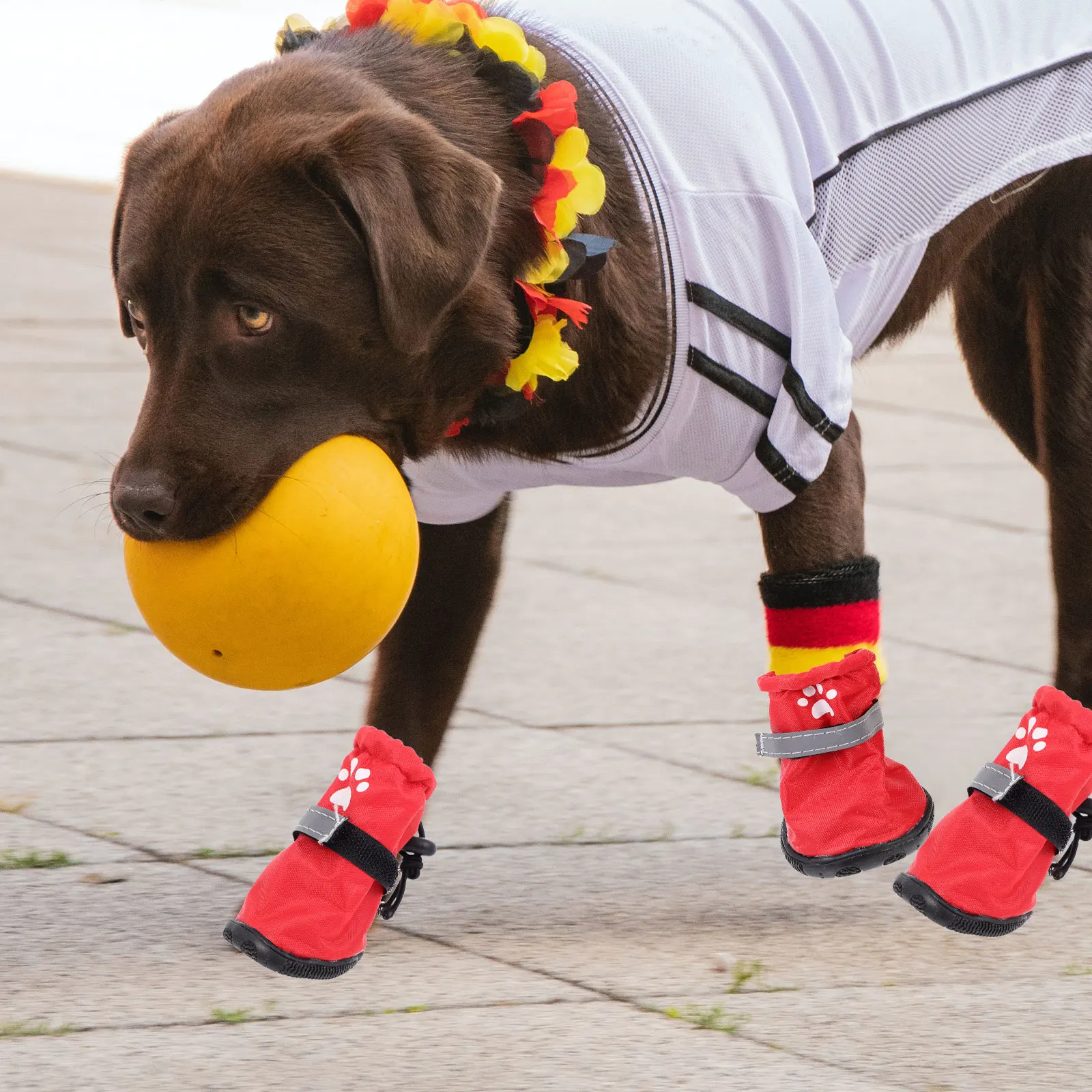 4Pcs Waterproof Pet Boots Outdoor Dog Shoes Premium Polyester Non-Slip Protective Rainshoes Durable Waterproof Dog Shoes 
4Pcs Waterproof Pet Boots Outdoor Dog Shoes Premium Polyester Non-Slip Protective Rainshoes Durable Waterproof Dog Shoes