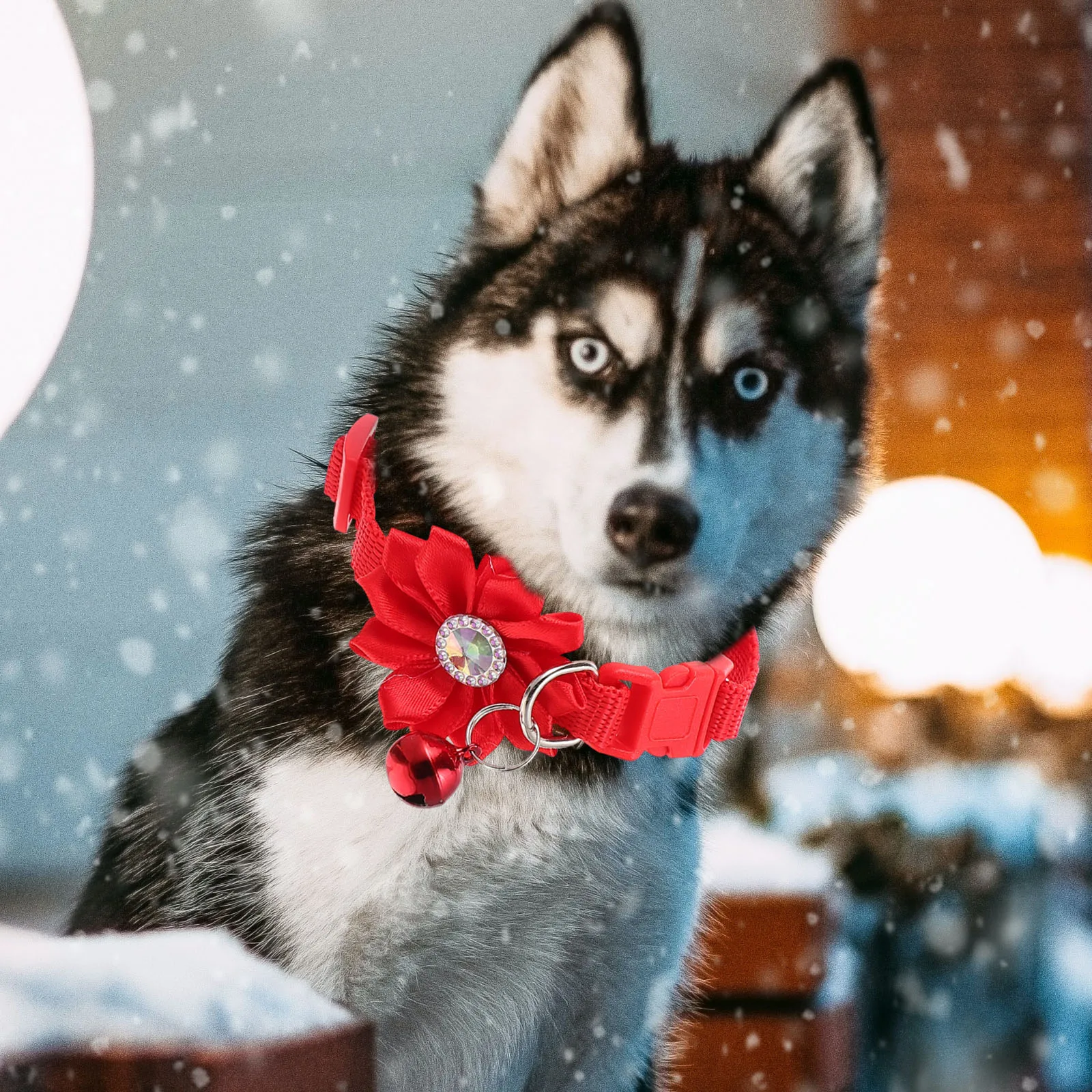 4Pcs Pet Collar Flower Design Adjustable Bell Heavy Duty Metal Buckle Puppy Neck Ornament Pet Collar Decorative Neck Belt
4Pcs Pet Collar Flower Design Adjustable Bell Heavy Duty Metal Buckle Puppy Neck Ornament Pet Collar Decorative Neck Belt