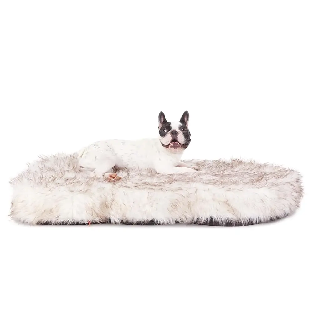 Luxury Dog Bed,5-Inch Thi Grade Ultra Soft Orthopedic Memory Foam Dog Bed With Cover, Plush Pup Rug With Removable
Luxury Dog Bed,5-Inch Thi Grade Ultra Soft Orthopedic Memory Foam Dog Bed With Cover, Plush Pup Rug With Removable