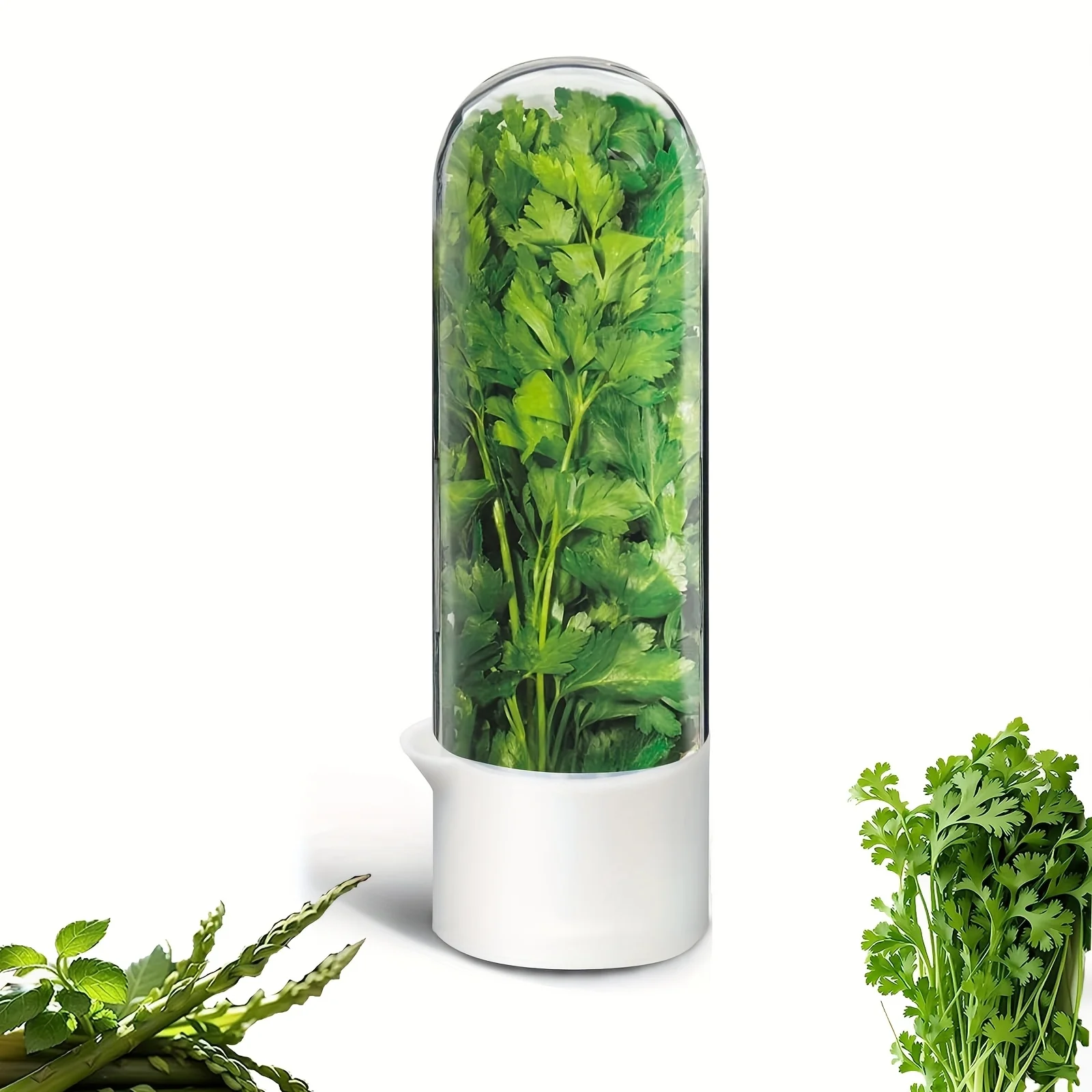 Large Refrigerated Herb Fresh-keeping Box, Refrigerated Coriander Fresh-keeping Box, Herb Fresh-keeping Box, Coriander, Parsley
Large Refrigerated Herb Fresh-keeping Box, Refrigerated Coriander Fresh-keeping Box, Herb Fresh-keeping Box, Coriander, Parsley