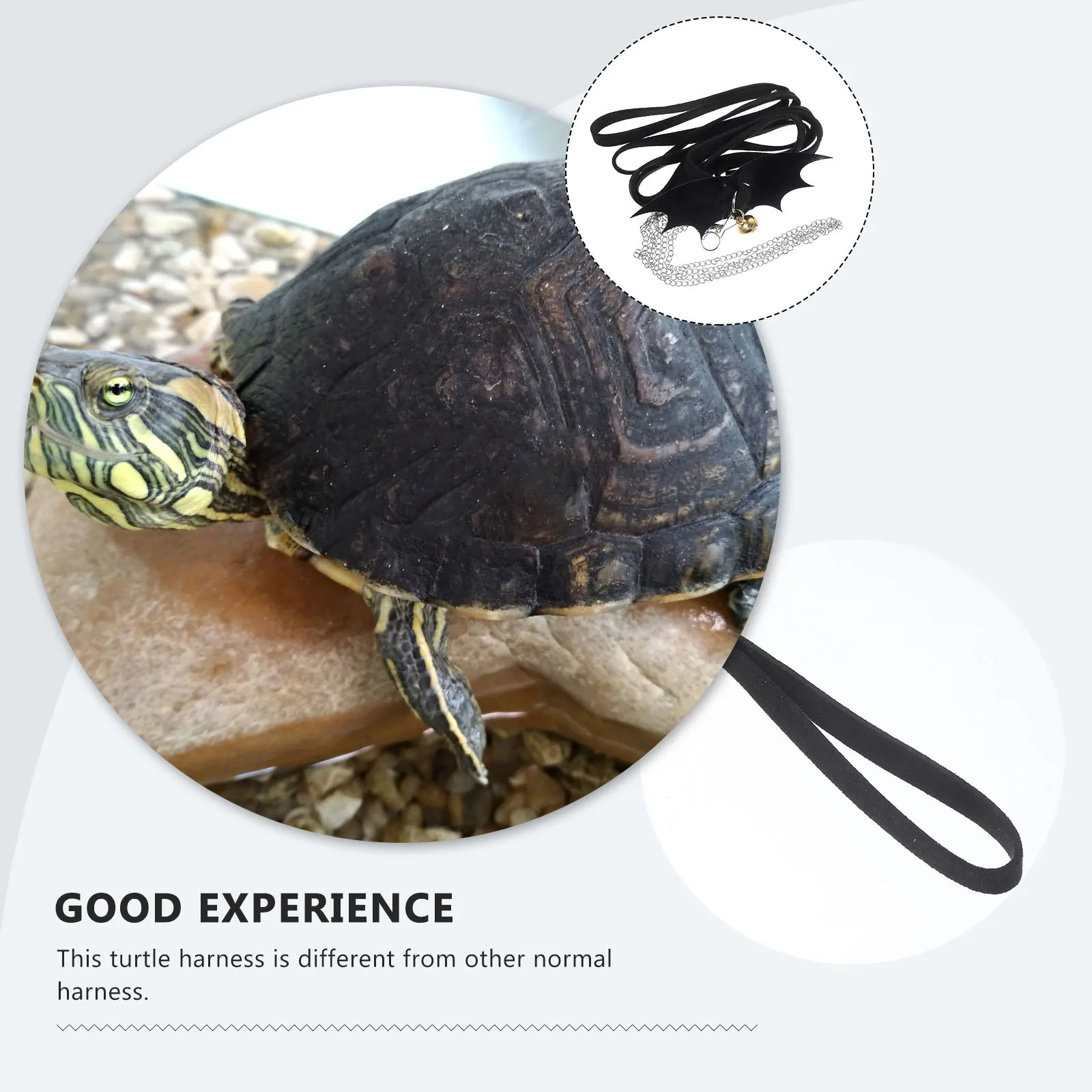 Turtle Harness Leash with Wing Design Adjustable Rope for Reptile Outdoor Walking Comfortable Black Size M Turtle Leash
Turtle Harness Leash with Wing Design Adjustable Rope for Reptile Outdoor Walking Comfortable Black Size M Turtle Leash