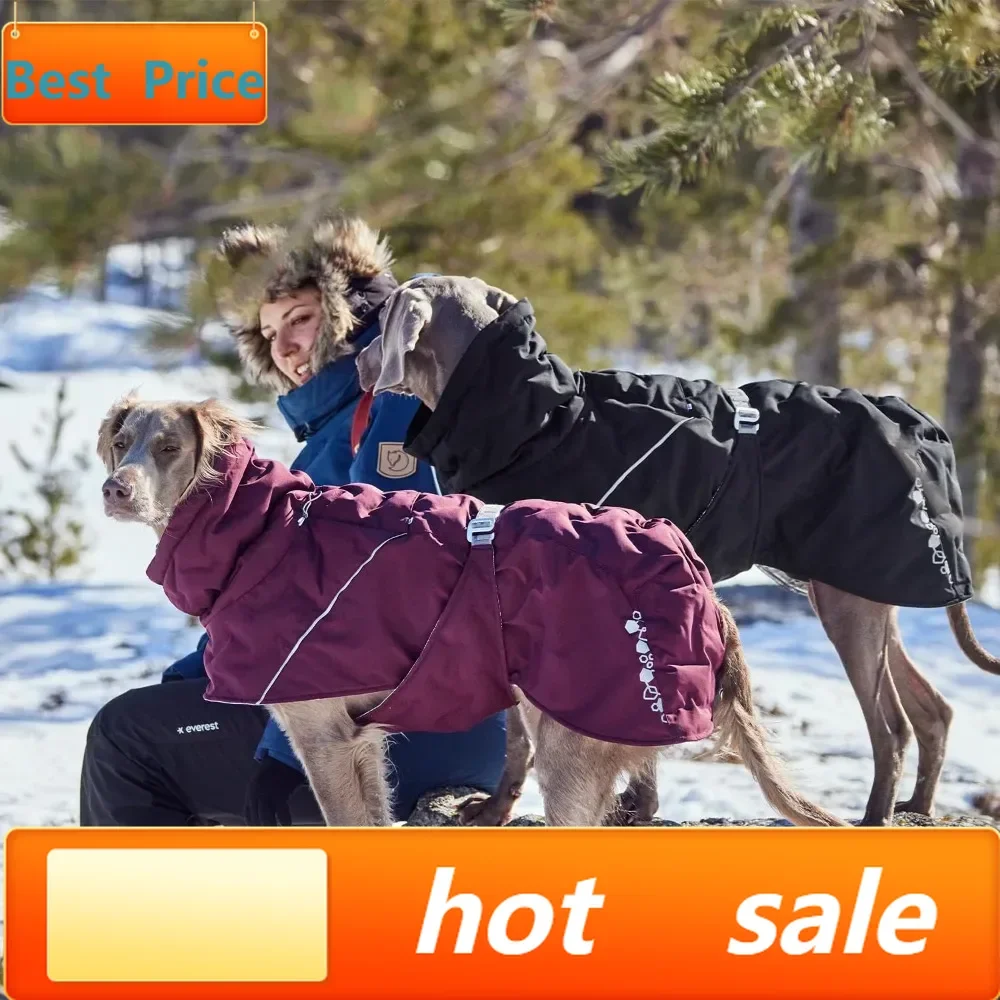 Hot salesECO-Friendly Winter Dog Coat with Heat Reflective Lining, Adjustable Fit for Cold Weather Protection, Size 14 in
Hot salesECO-Friendly Winter Dog Coat with Heat Reflective Lining, Adjustable Fit for Cold Weather Protection, Size 14 in