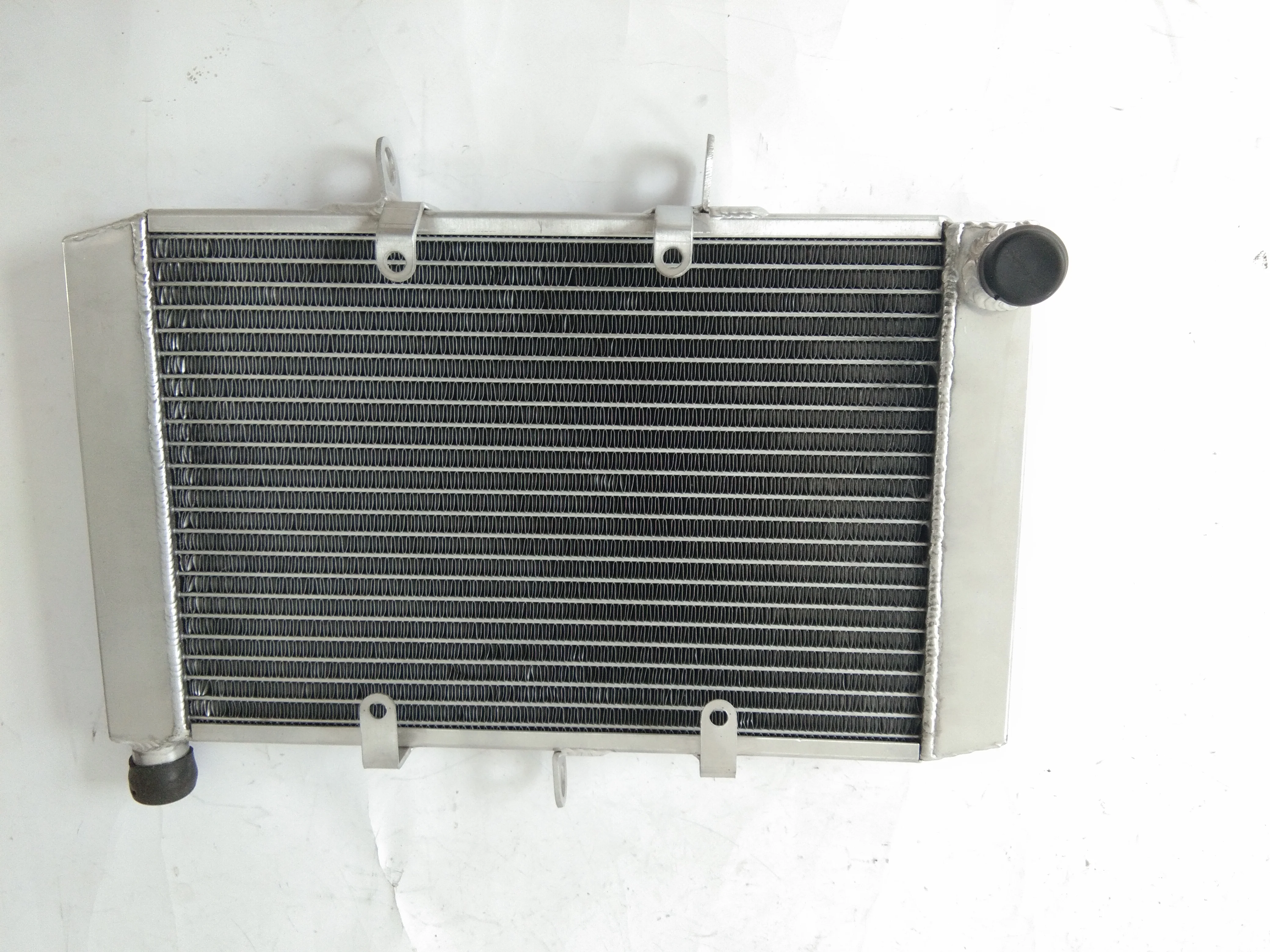For 2010-2014 Honda CB1000F / ABS CB 1000 F Aluminum Radiator Cooler Cooling Coolant 2010 2011 2012 2013 2014
For 2010-2014 Honda CB1000F / ABS CB 1000 F Aluminum Radiator Cooler Cooling Coolant 2010 2011 2012 2013 2014
