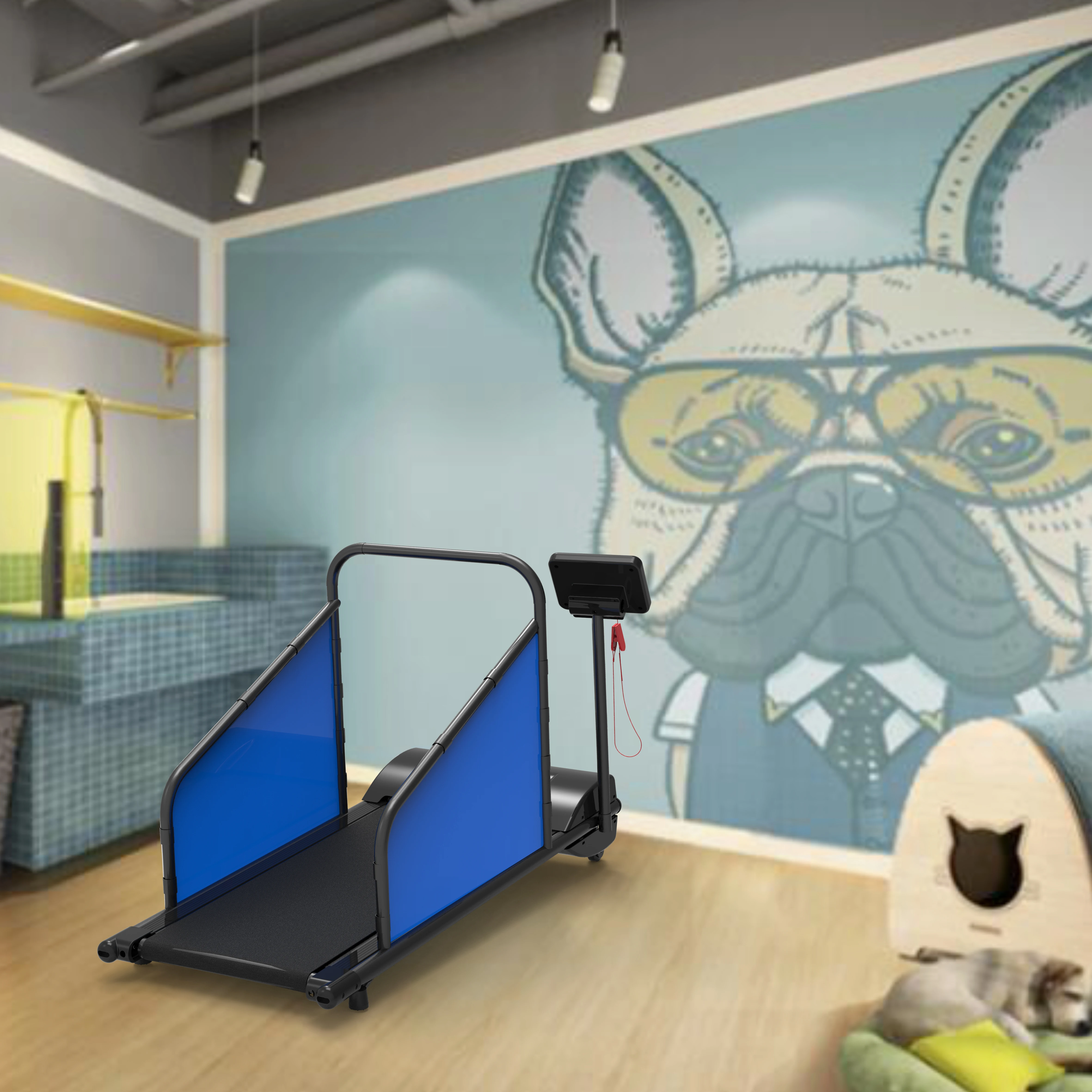 Новый стиль, профессиональная электрическая беговая дорожка для домашних животных, тренировка собак, спортивный инструмент в помещении, тихая прочная беговая дорожка с бесщеточным двигателем
Новый стиль, профессиональная электрическая беговая дорожка для домашних животных, тренировка собак, спортивный инструмент в помещении, тихая прочная беговая дорожка с бесщеточным двигателем