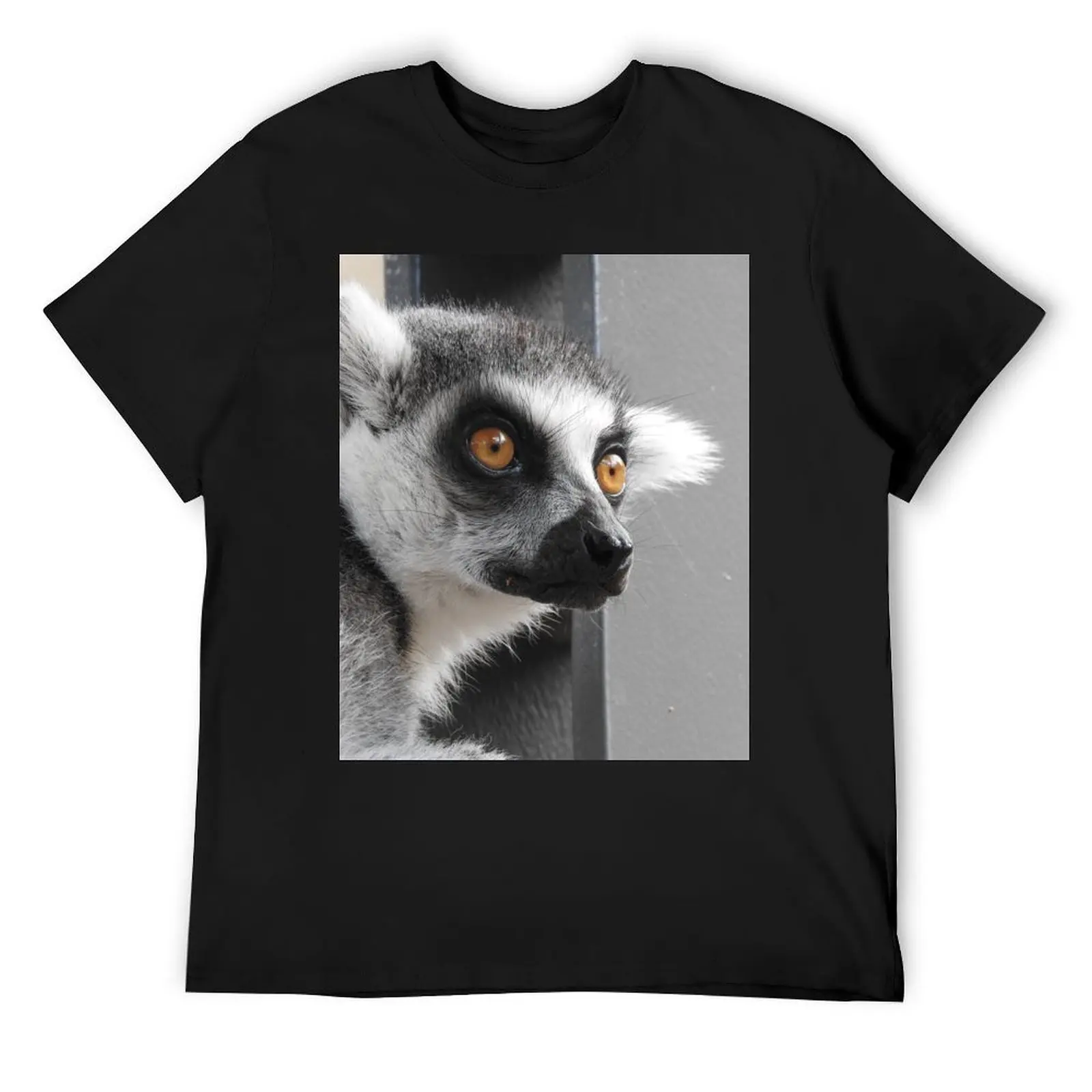 Ring Tailed Lemur T-Shirt anime t shirts anime stuff croswit shirt man fashion shirts mens cotton t shirts
Ring Tailed Lemur T-Shirt anime t shirts anime stuff croswit shirt man fashion shirts mens cotton t shirts