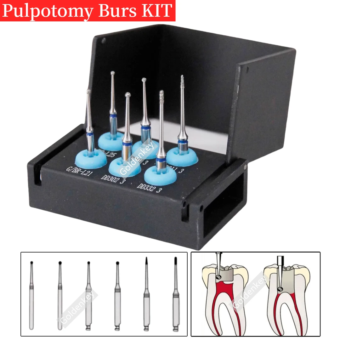 Dental Pulpotomy Burs Kit Pulp Remove Burs Ball Burs Cavity Baby Tooth Bur Preparation Bur Kit Root Canal TreatmentFG7706
Dental Pulpotomy Burs Kit Pulp Remove Burs Ball Burs Cavity Baby Tooth Bur Preparation Bur Kit Root Canal TreatmentFG7706