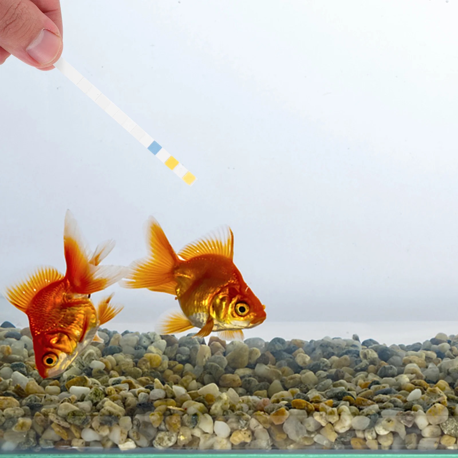 1 Bottle Aquarium Test Kit High Precision Testing Tool For Fish Tank Pond Ph Meter Strip Fast Results Water Test Strips Aquarium
1 Bottle Aquarium Test Kit High Precision Testing Tool For Fish Tank Pond Ph Meter Strip Fast Results Water Test Strips Aquarium