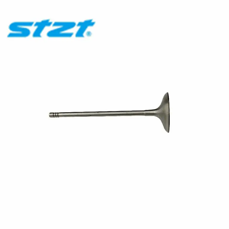 STZT 11347553771 Hot Sales Intake and Exhaust Valves for BMW N52 N52B30 X3 2006 XDrive30i 3.0L L6 Auto Parts
STZT 11347553771 Hot Sales Intake and Exhaust Valves for BMW N52 N52B30 X3 2006 XDrive30i 3.0L L6 Auto Parts