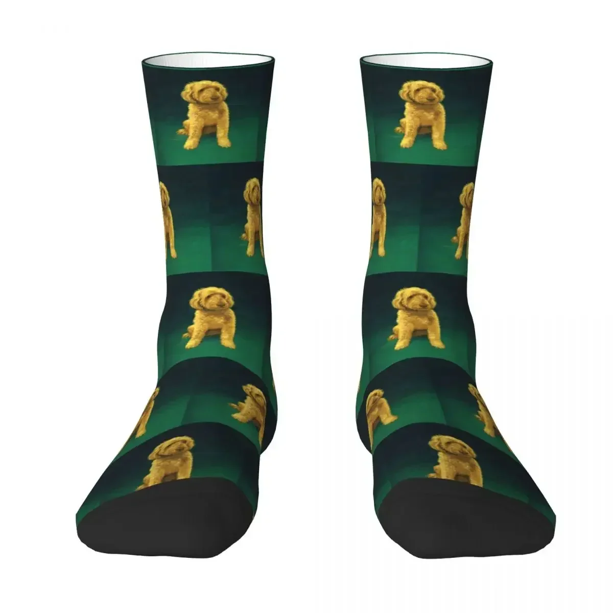 Носки Golden Doodle Whoodle, супер мягкие чулки в стиле Харадзюку, всесезонные длинные носки, аксессуары для подарка на день рождения унисекс
Носки Golden Doodle Whoodle, супер мягкие чулки в стиле Харадзюку, всесезонные длинные носки, аксессуары для подарка на день рождения унисекс