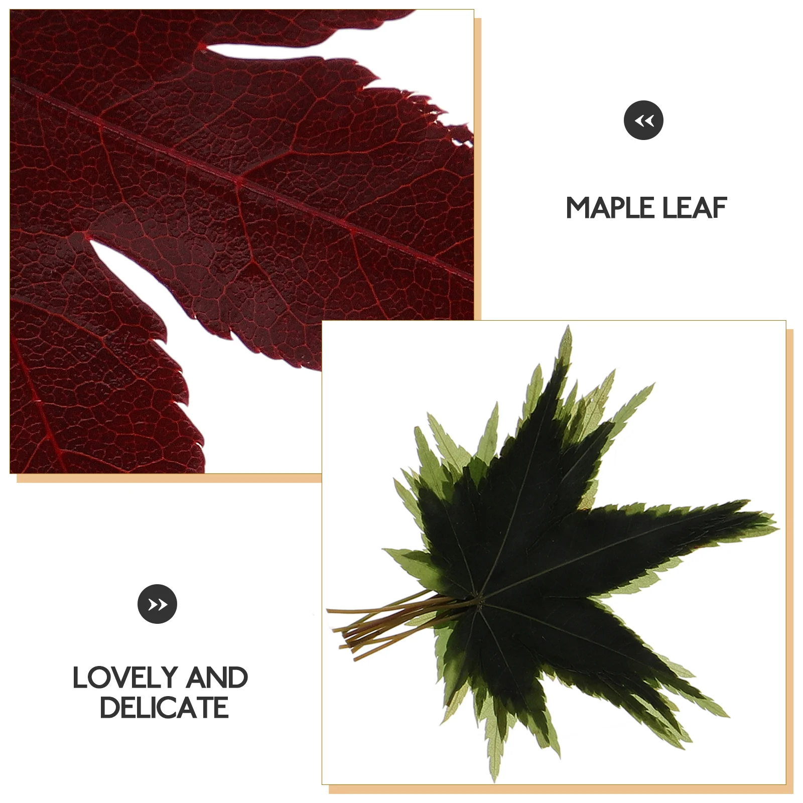 30pcs Natural Maple Leaf Decoration Sushi Plate Props Japanese Tray Embellishment Food Dish Decor Sashimi Serving Leaf
30pcs Natural Maple Leaf Decoration Sushi Plate Props Japanese Tray Embellishment Food Dish Decor Sashimi Serving Leaf