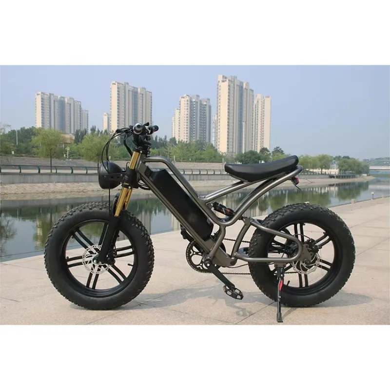 Low price ebike wholesale electric bicycle 48v 750w electric bicycle/electric bicycle 1500W motor 20 inch tire electric 
Low price ebike wholesale electric bicycle 48v 750w electric bicycle/electric bicycle 1500W motor 20 inch tire electric