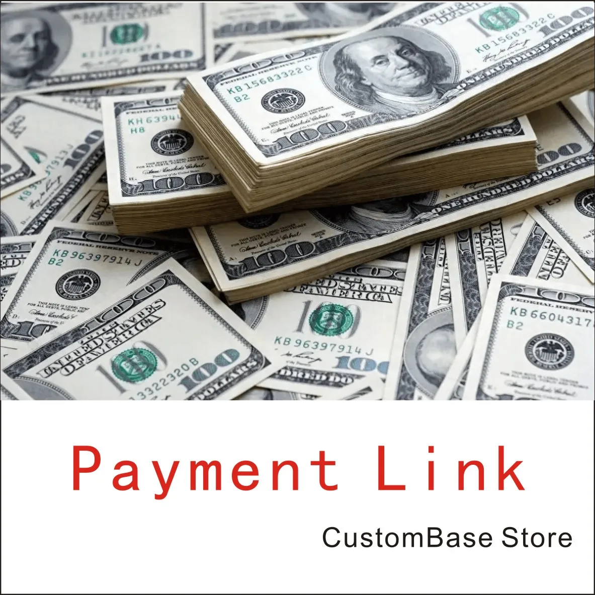 Payment Link For Customized Costs
Payment Link For Customized Costs