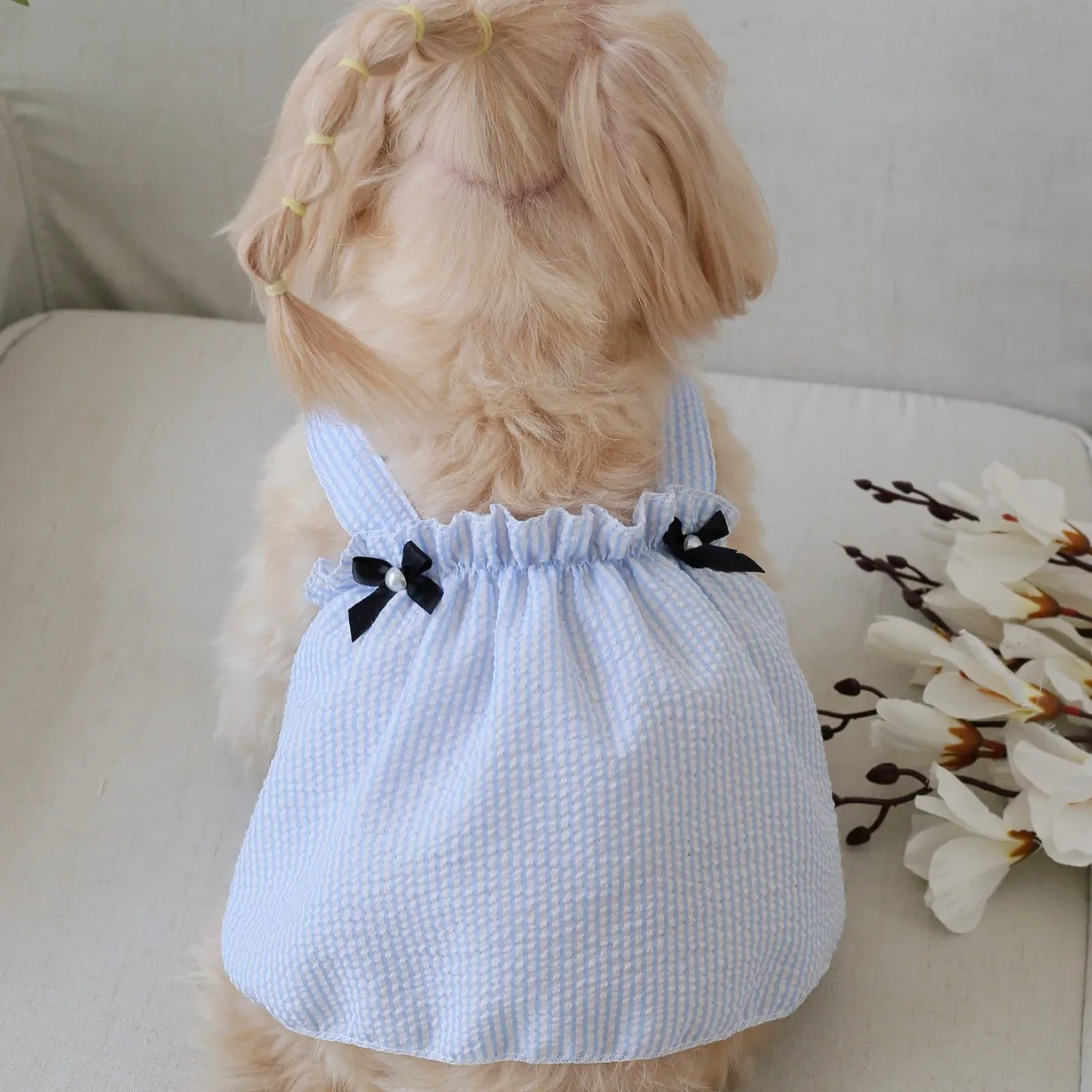 Summer Pet Dress for Small Dogs Cats Pet Dresses Girl Female Doggies Tutu Skirt Apparel for Chihuahua Costume Pet Supplies
Summer Pet Dress for Small Dogs Cats Pet Dresses Girl Female Doggies Tutu Skirt Apparel for Chihuahua Costume Pet Supplies