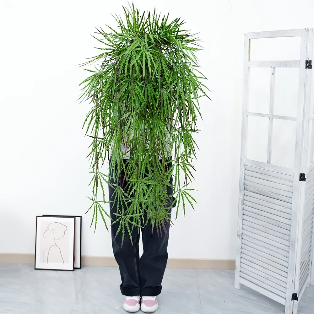 Artificial Hanging Plants 3.3ft Fake Hanging Fern Vines with 30 Leaves Wall Decor Greenery for Home Wall Outdoor Indoor Decor
Artificial Hanging Plants 3.3ft Fake Hanging Fern Vines with 30 Leaves Wall Decor Greenery for Home Wall Outdoor Indoor Decor