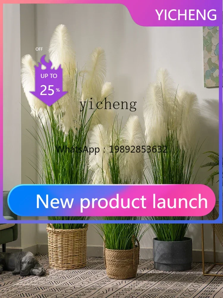LYY simulated reed grass fake flower tree fake tree indoor living room green plants decorative landscaping ornament
LYY simulated reed grass fake flower tree fake tree indoor living room green plants decorative landscaping ornament