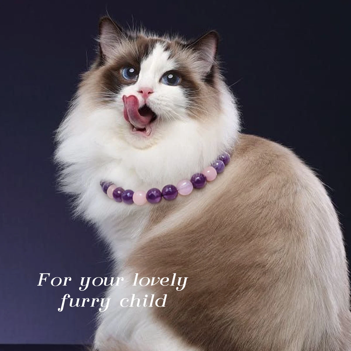 High-end Jewelry Pet Collar Relieves Trauma Anxiety Quartz Amethyst Natural Stone Collar Adjustable Leather Natural Stone Collar
High-end Jewelry Pet Collar Relieves Trauma Anxiety Quartz Amethyst Natural Stone Collar Adjustable Leather Natural Stone Collar