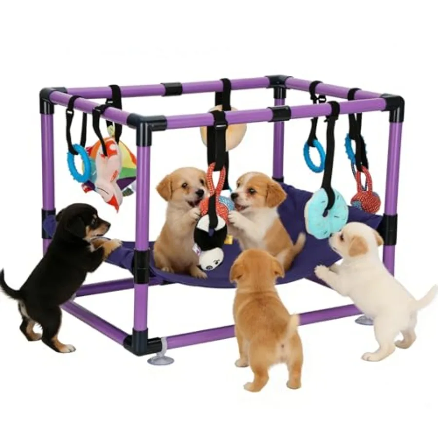 Play with 8 Hanging Toys Dog Jungle Indoor with Hammock and Funny Enrichment Toys PVC Frame Activities Center for Puppies
Play with 8 Hanging Toys Dog Jungle Indoor with Hammock and Funny Enrichment Toys PVC Frame Activities Center for Puppies