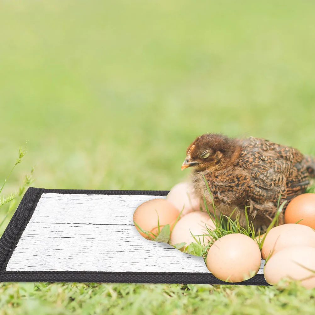 4Pcs Pet Heating Pads Reflective Film Insulation Mat for Winter Warmth Heat Collector for Nest Bottom
4Pcs Pet Heating Pads Reflective Film Insulation Mat for Winter Warmth Heat Collector for Nest Bottom