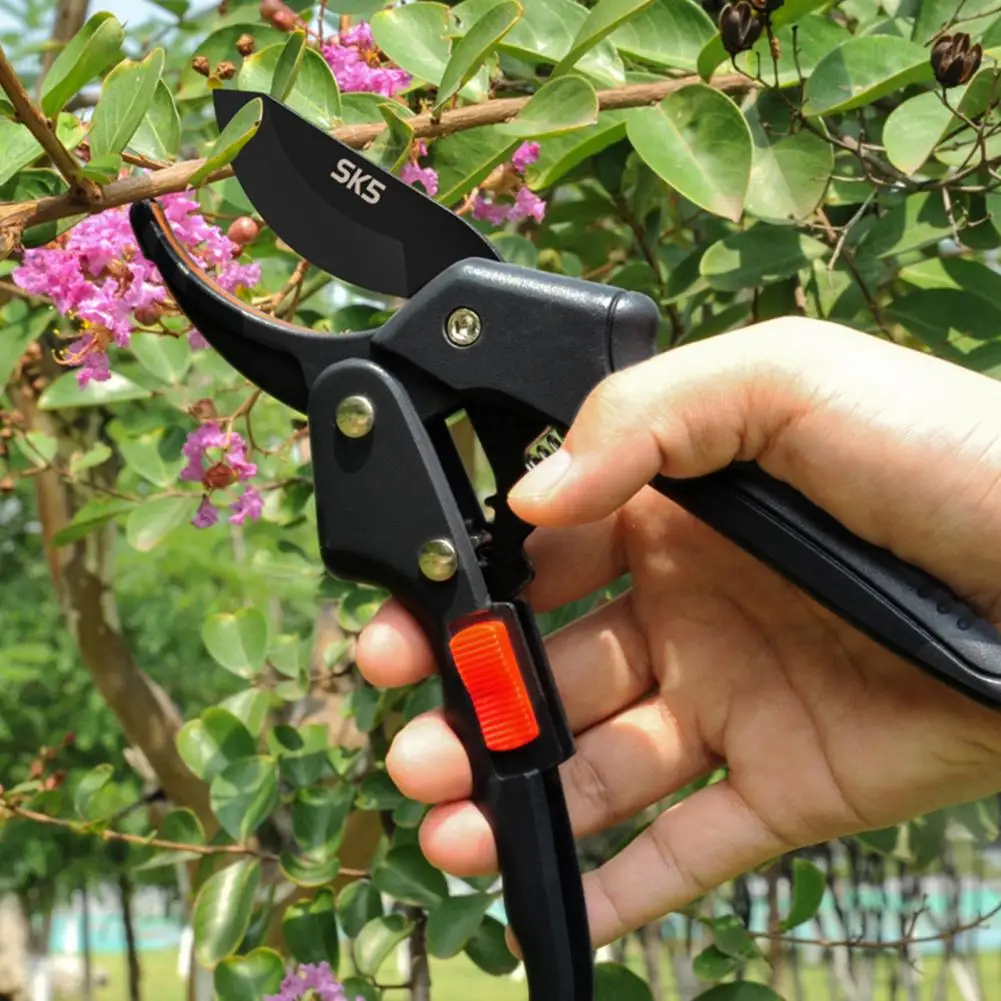 Pruning Shears with Ultra Sharp Blades Ergonomic Handle Safety Mechanism Multipurpose Hand Pruner Garden Clippers
Pruning Shears with Ultra Sharp Blades Ergonomic Handle Safety Mechanism Multipurpose Hand Pruner Garden Clippers