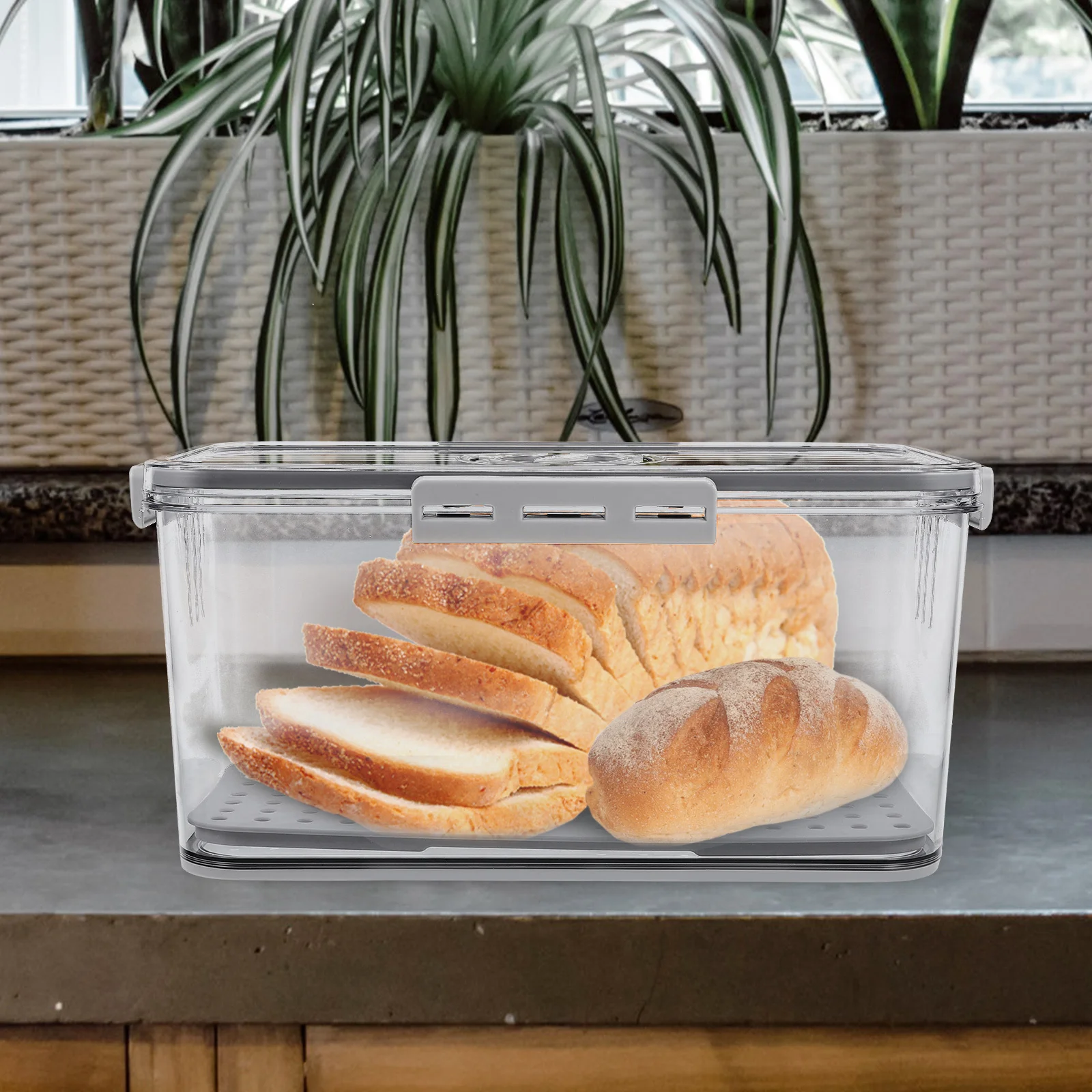 Timing Recording Bread Storage Container Transparent Keeping Kitchen Refrigerator Box Timing Recording Bread Box
Timing Recording Bread Storage Container Transparent Keeping Kitchen Refrigerator Box Timing Recording Bread Box