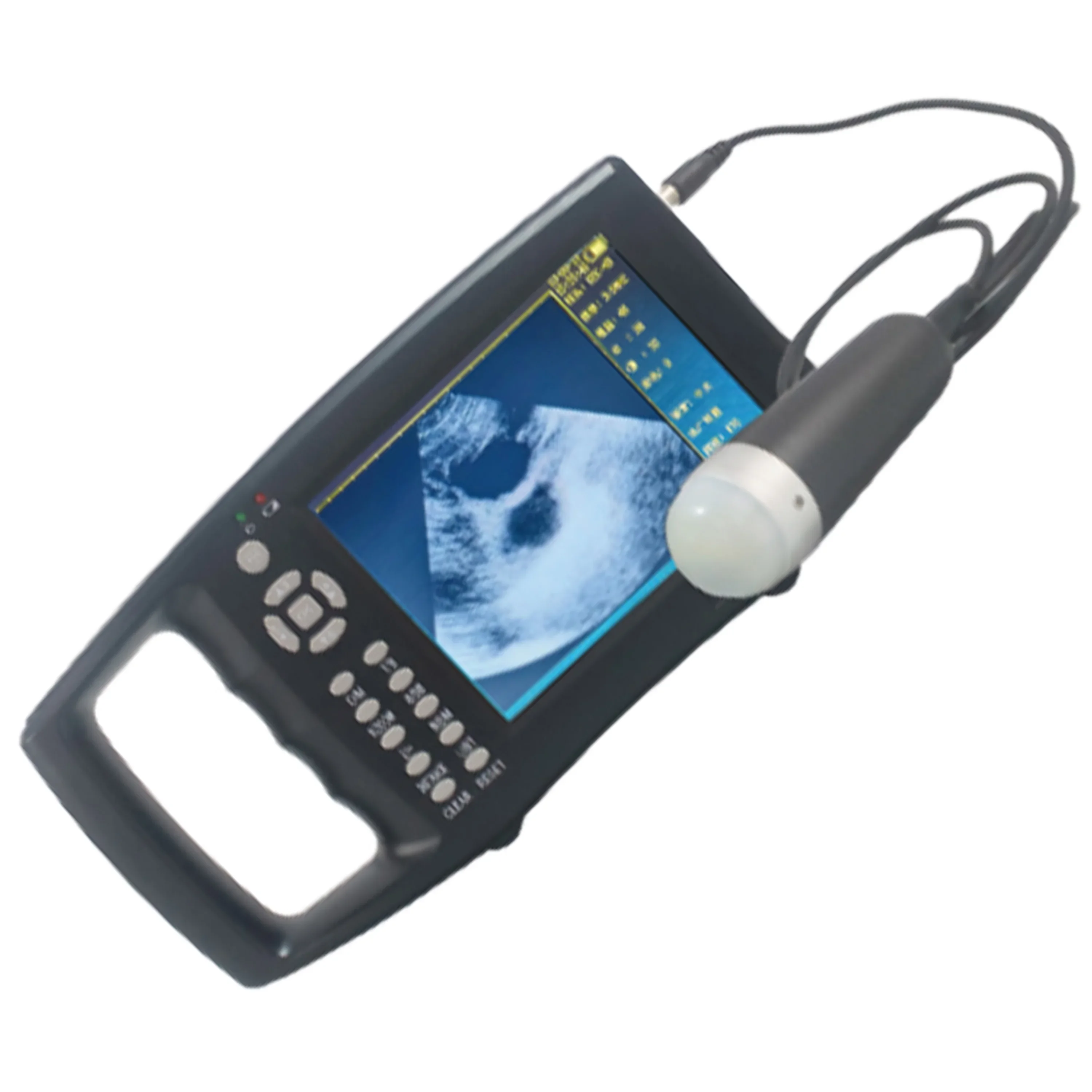 # Hot Pig Sheep Ultrasound Machine Veterinary Portable Ultrasound Scanner Color Ultrasound Machine
# Hot Pig Sheep Ultrasound Machine Veterinary Portable Ultrasound Scanner Color Ultrasound Machine