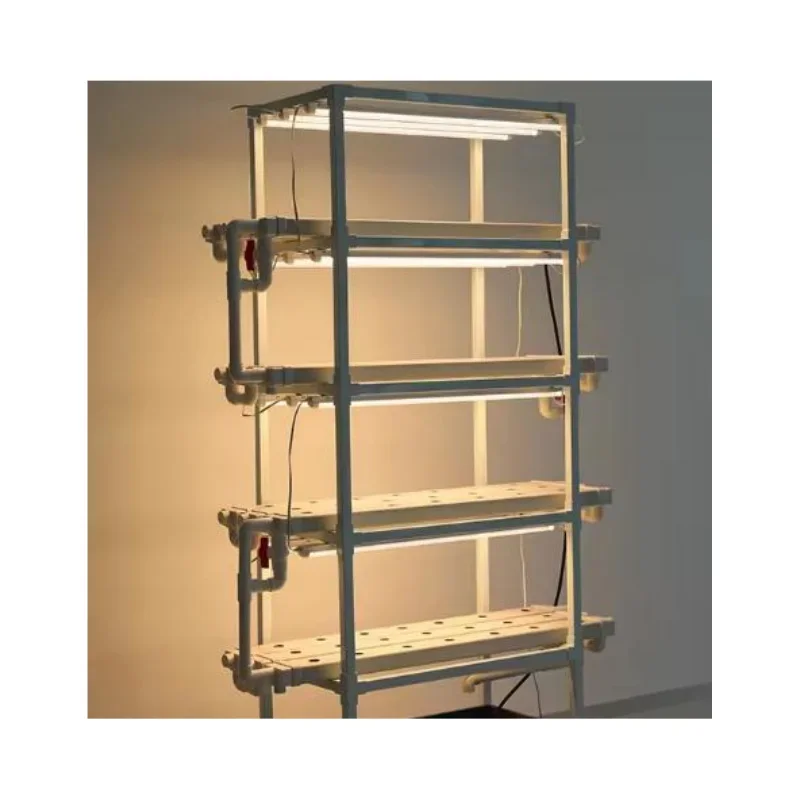 Indoor Leaf and Stem Plants Farm Racks Growing Shelves Growing System Hydroponic Mobile Racks
Indoor Leaf and Stem Plants Farm Racks Growing Shelves Growing System Hydroponic Mobile Racks