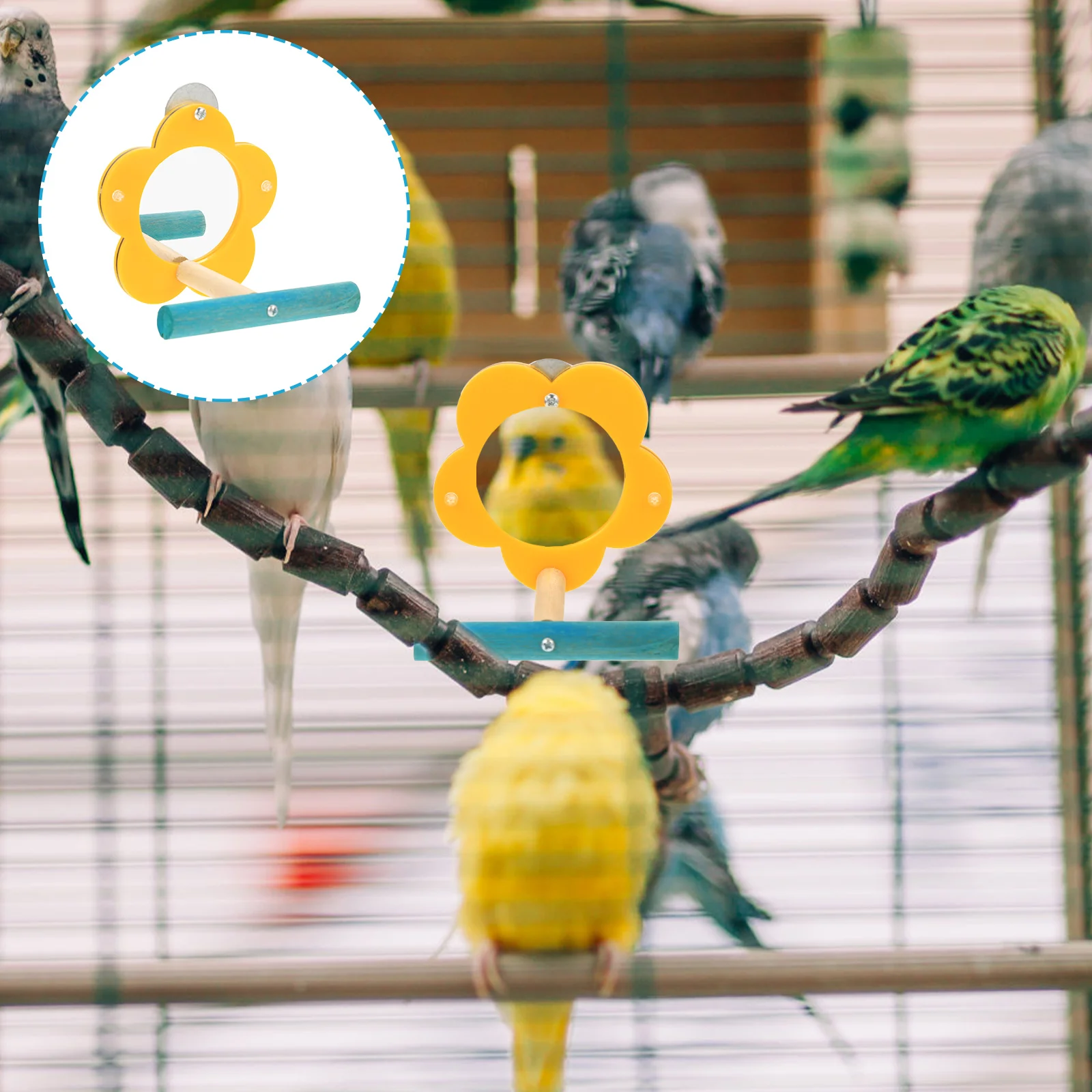 Parrot Toys Parrot Training Toy Bird Mirror Toy Parrot Biting Toys Bird Toys parrot toys decorative bird mirror
Parrot Toys Parrot Training Toy Bird Mirror Toy Parrot Biting Toys Bird Toys parrot toys decorative bird mirror
